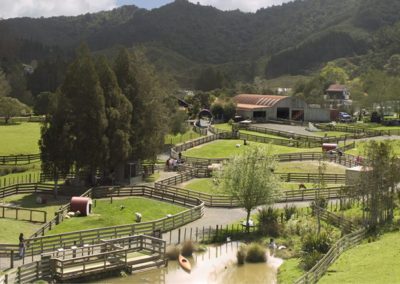 sheep world tour, sheep world trip tour from auckland