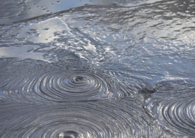 Mud Pools at Te Puia rotorua tour new zealand