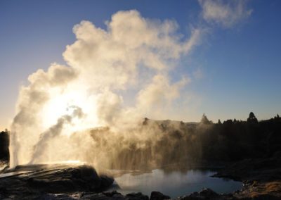 Te Puia Geothermal Valley