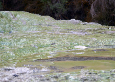 Wai O Tapu - Close up