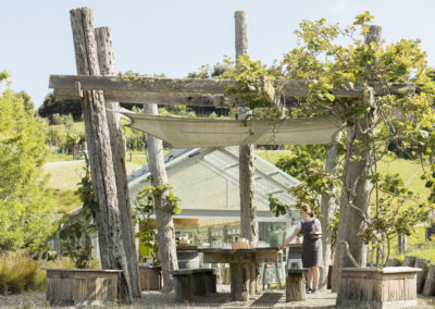 Wine Tasting Outdoor