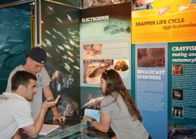 Goat Island Discovery Centre
