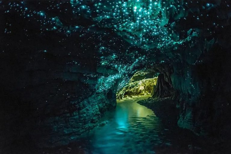 waitomo glowworm caves boat tour from auckland