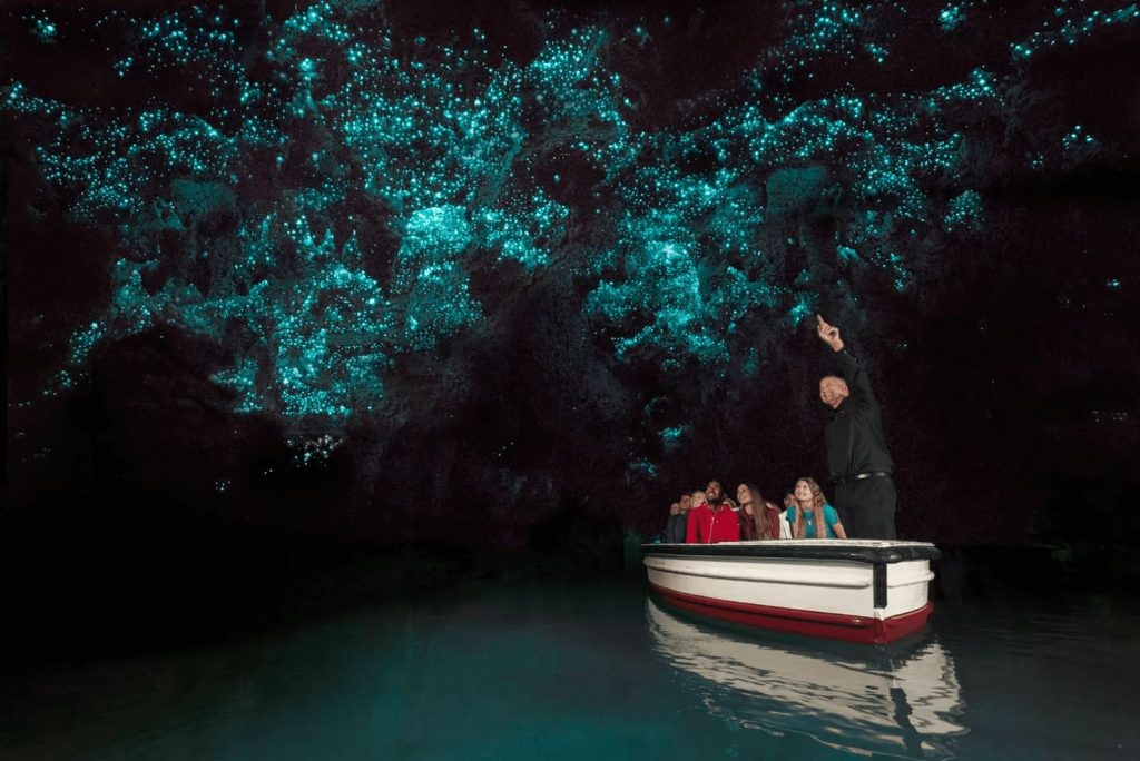 waitomo glowworm caves boat tour from auckland nz