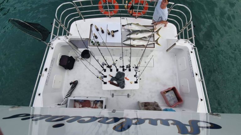 Boat Charters Tour