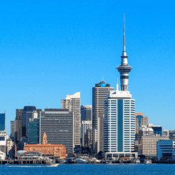 Best Tour Operators in Auckland