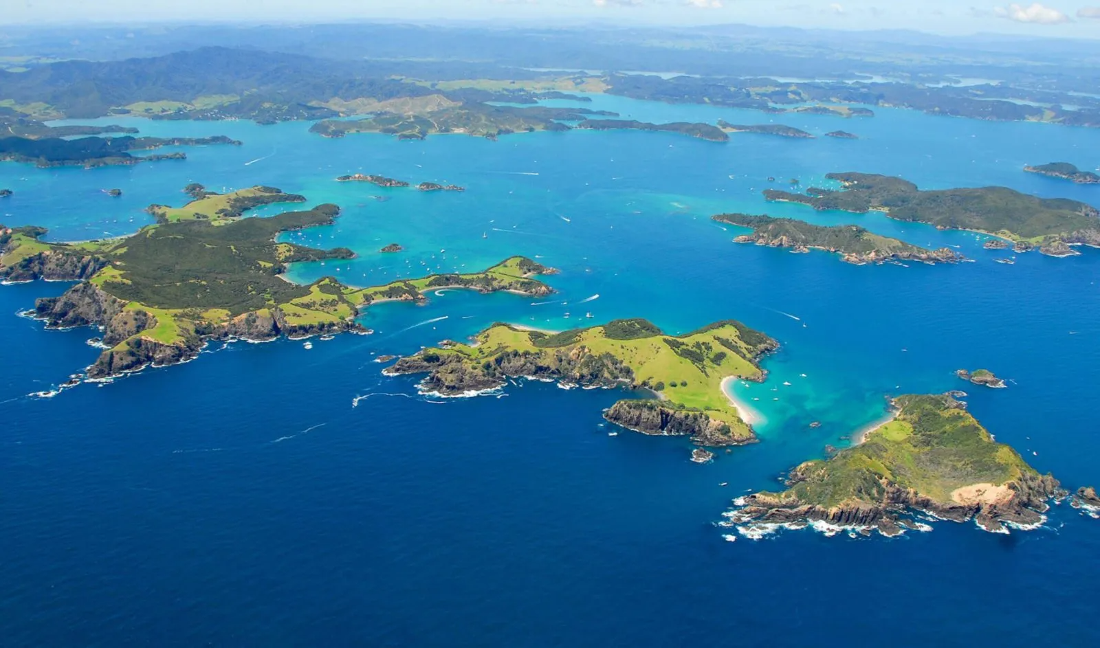 Bay of Island Tours in NZ