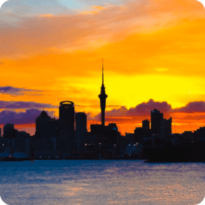 city tours of auckland