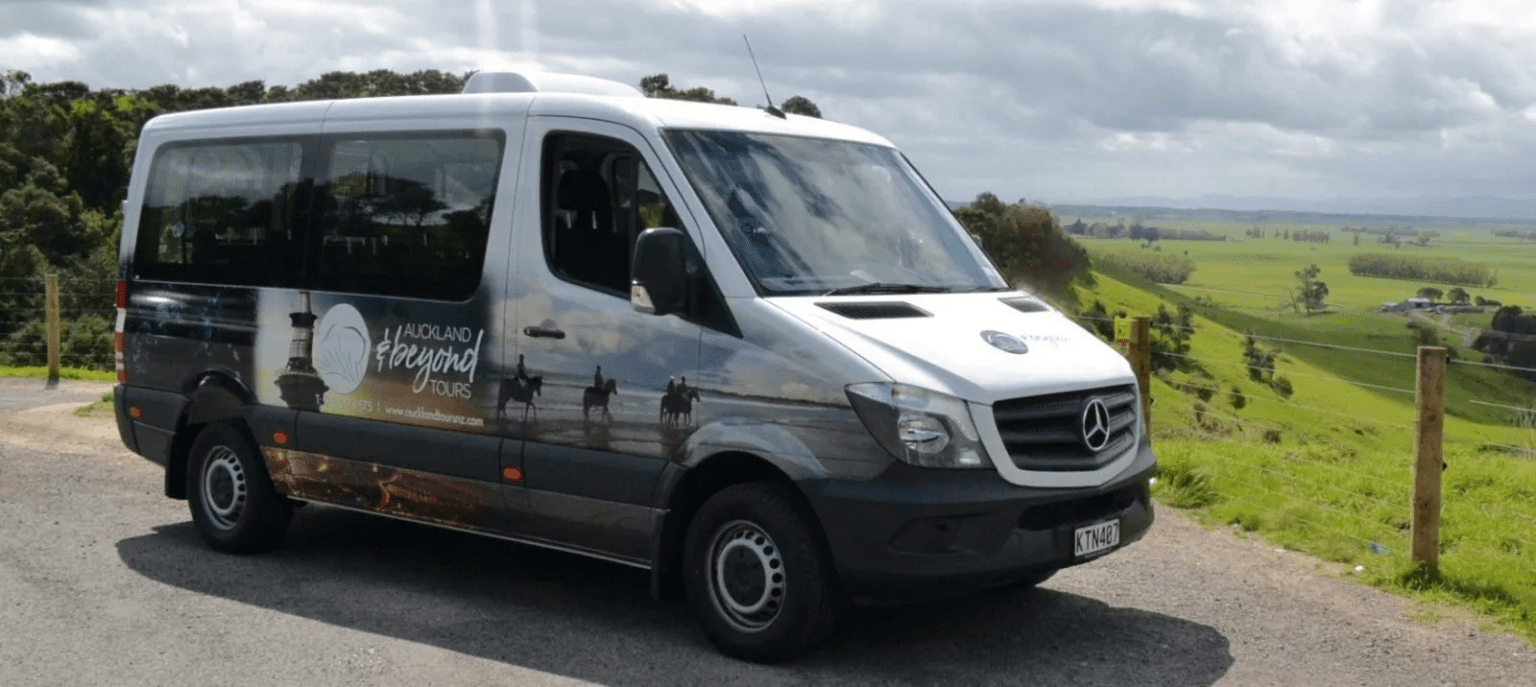 coromandel day tour