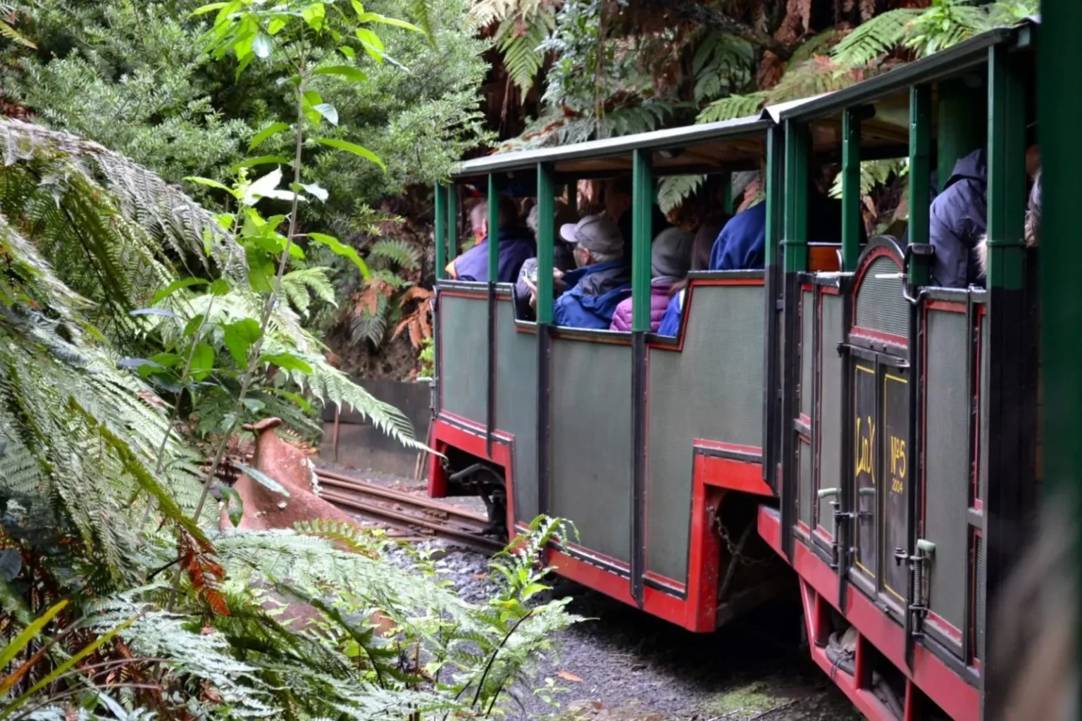 coromandel day tour nz