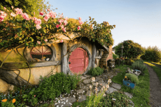 Best Hobbiton Tours in NZ