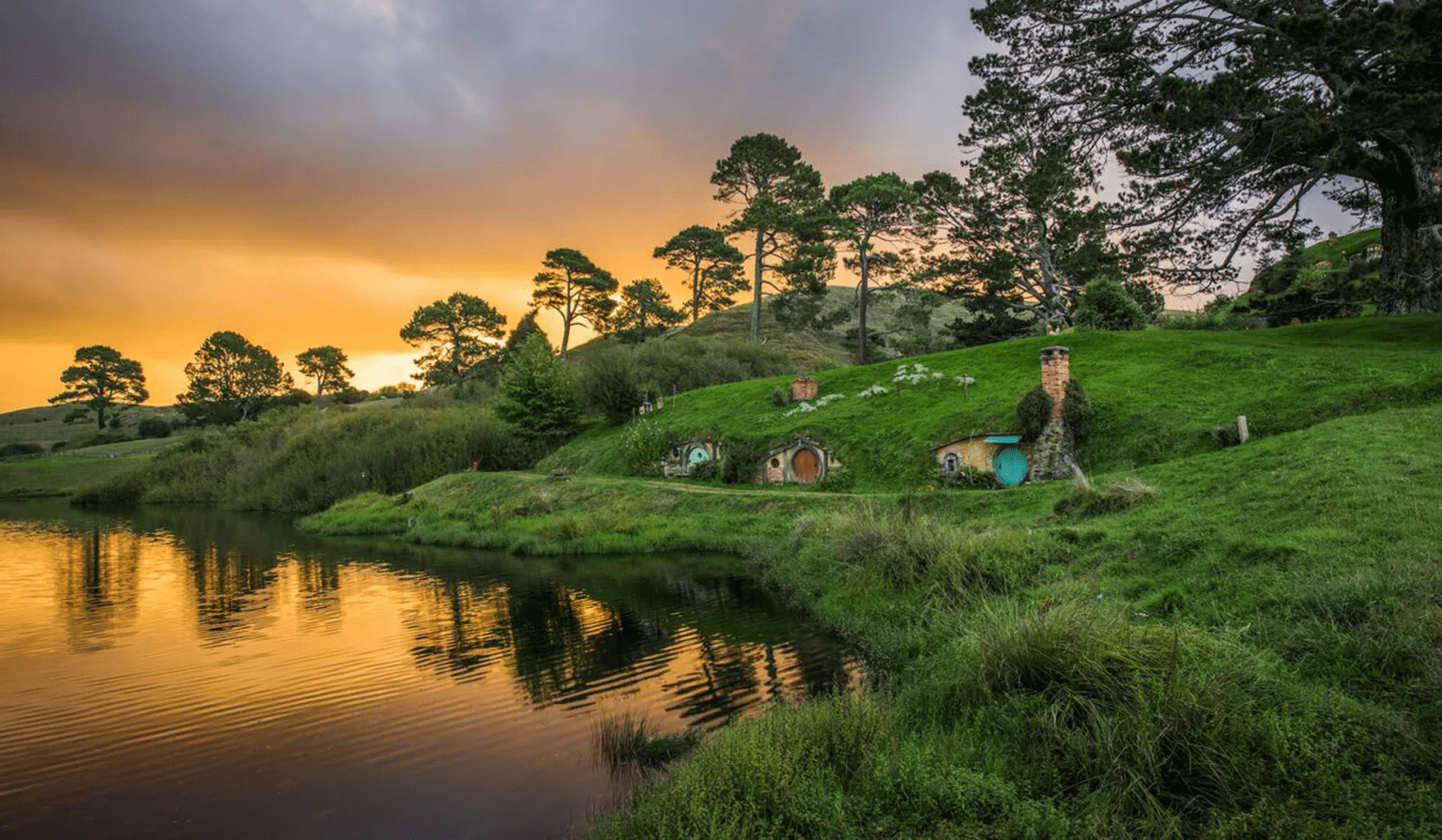 Hobbiton Movie Set Tours