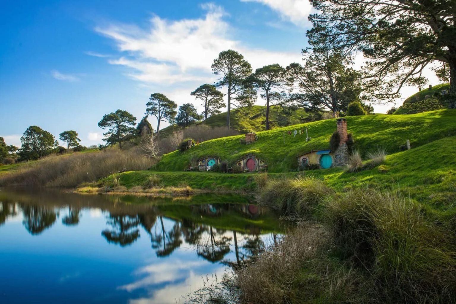 Hobbiton tour from Auckland