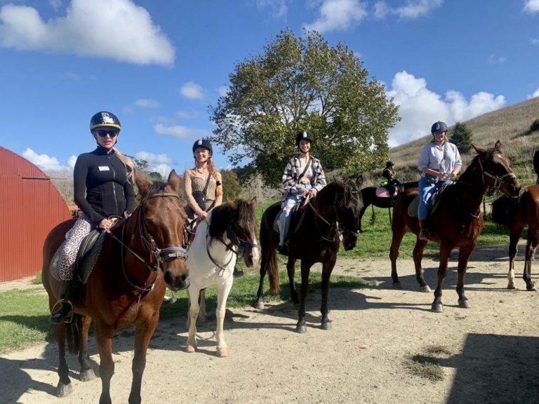 Auckland Horse Riding