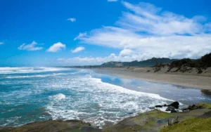 West Coast Beach Tours NZ