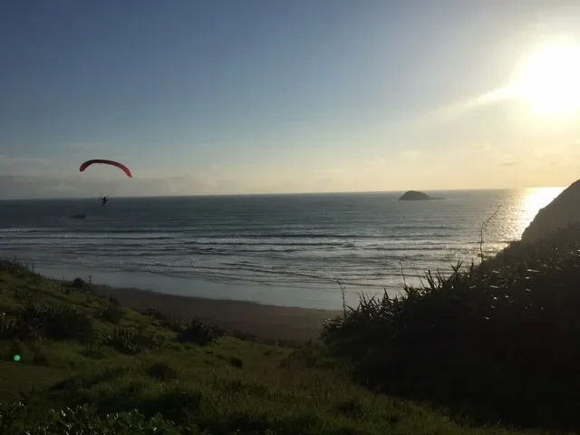 Eco Tours NZ