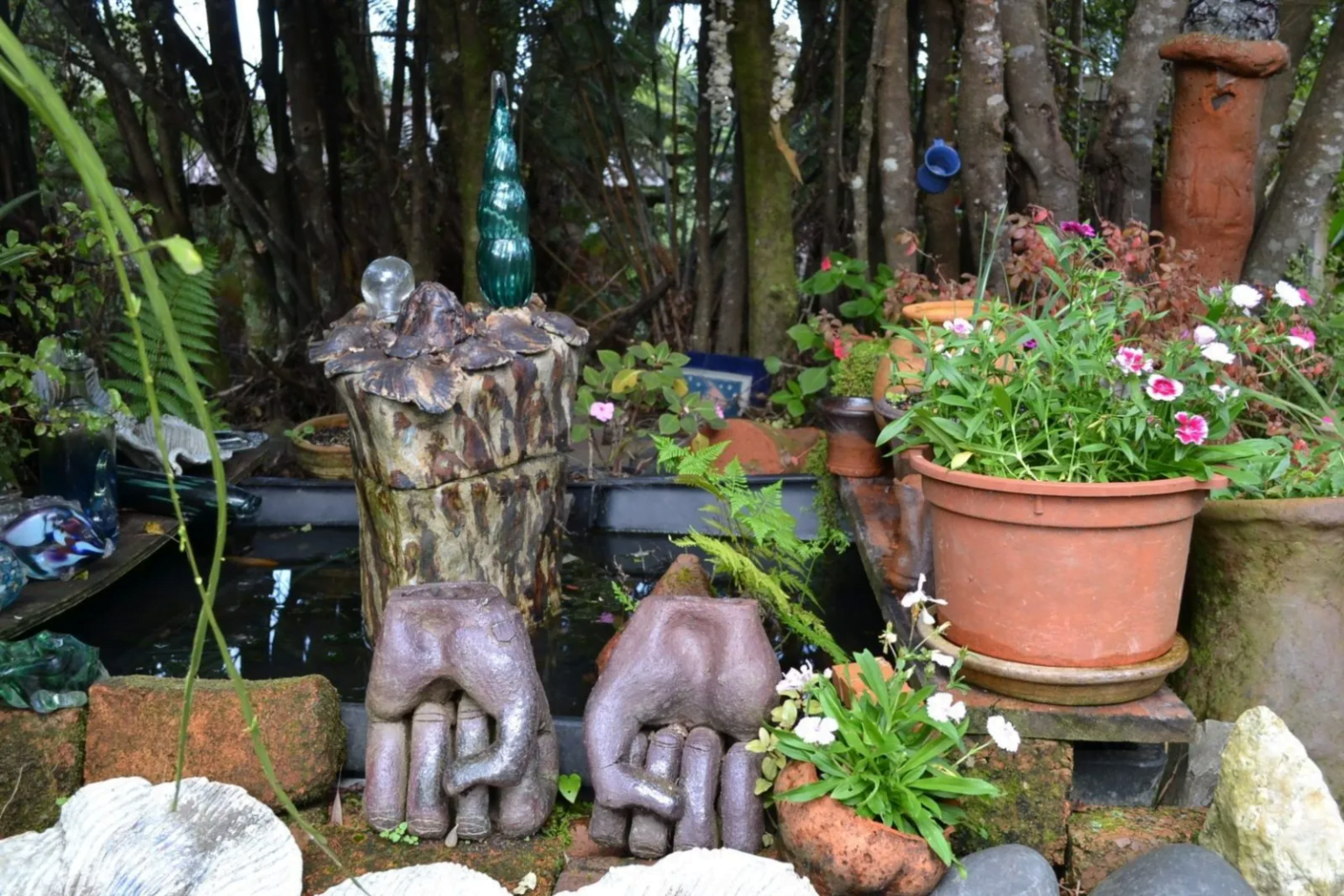 coromandel tour from auckland nz