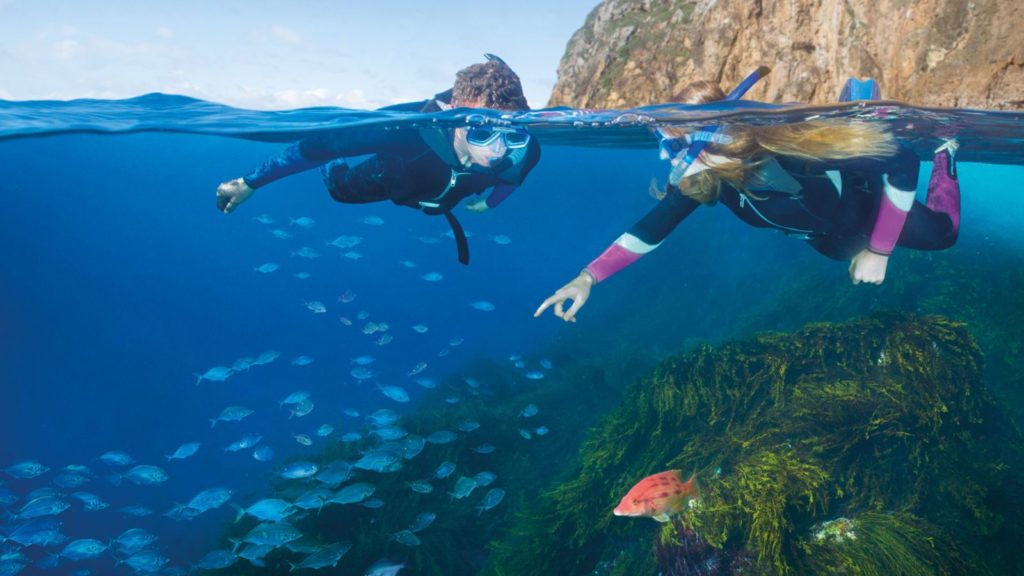 Snorkel Goat Island