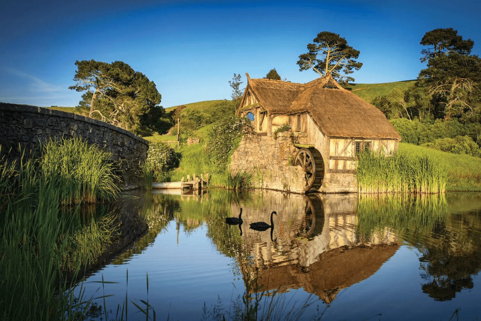 Hobbiton Movie Set Tour