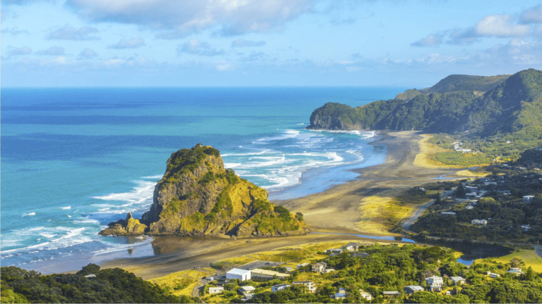 Muriwai beach and The Gannet Colony Private Tour