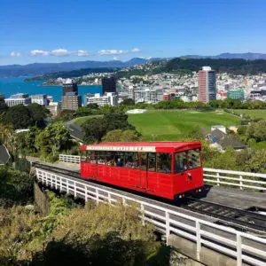 Wellington Scenic Tours