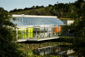 Wine Tasting Private Tours New Zealand