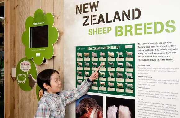 Sheep World Tours