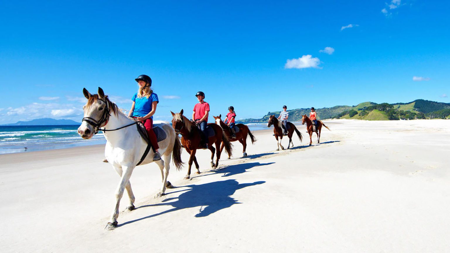 Horse Riding Private Tours New Zealand