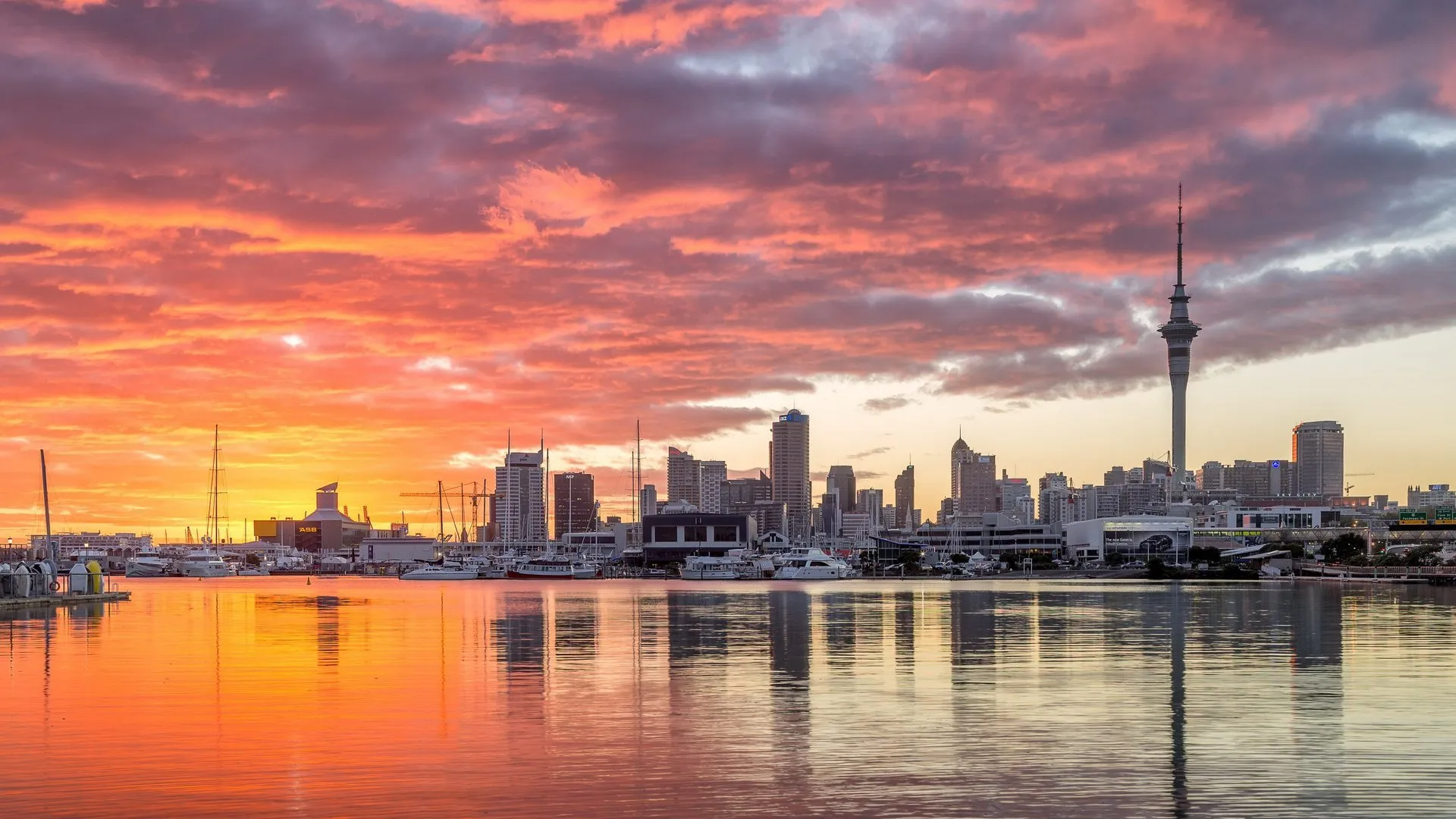 Auckland City Sunset View