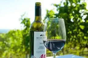Waiheke island Wine Tasting Tours