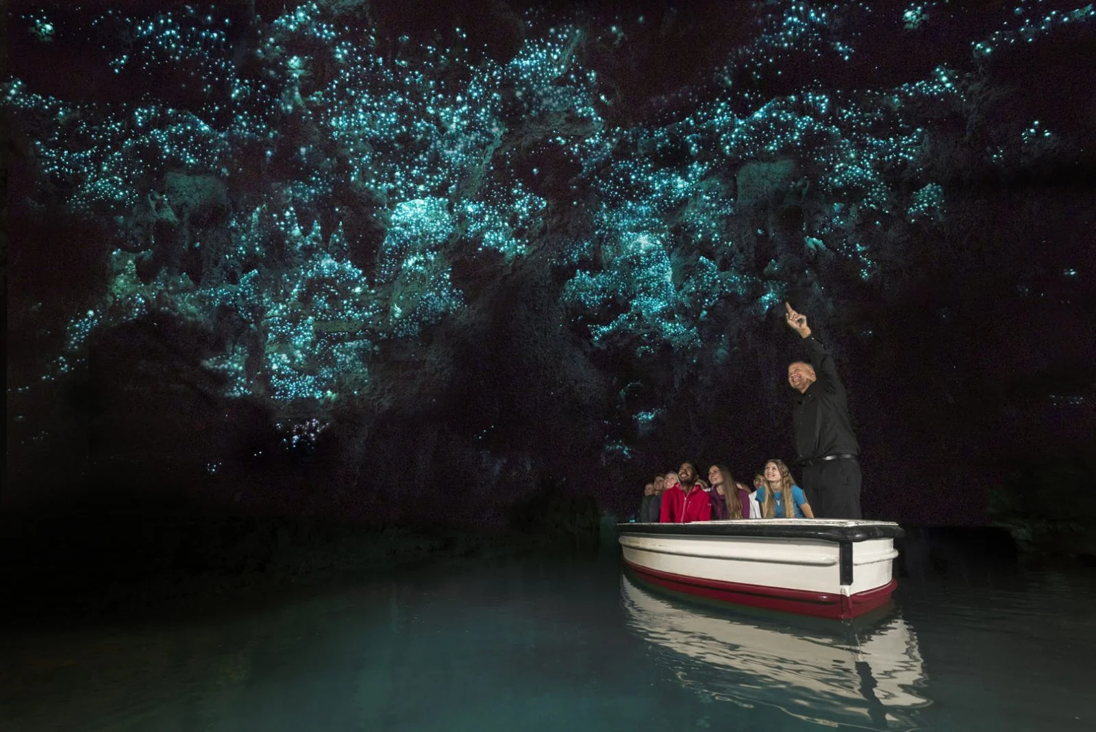 glowworm caves tours NZ