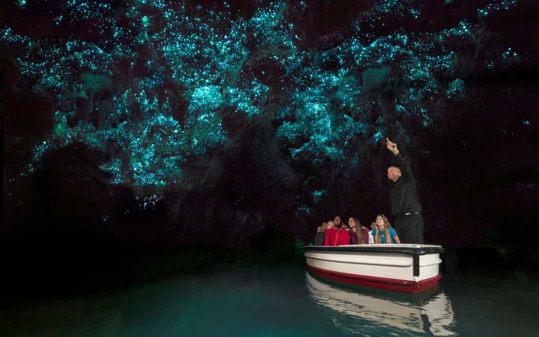 Best Glowworm Tours NZ