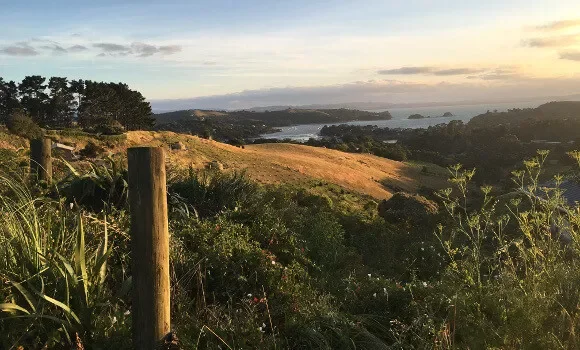 Waiheke Island Wine Day Tour