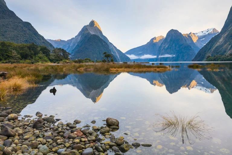 Milford Sound Coach / Cruise / Coach