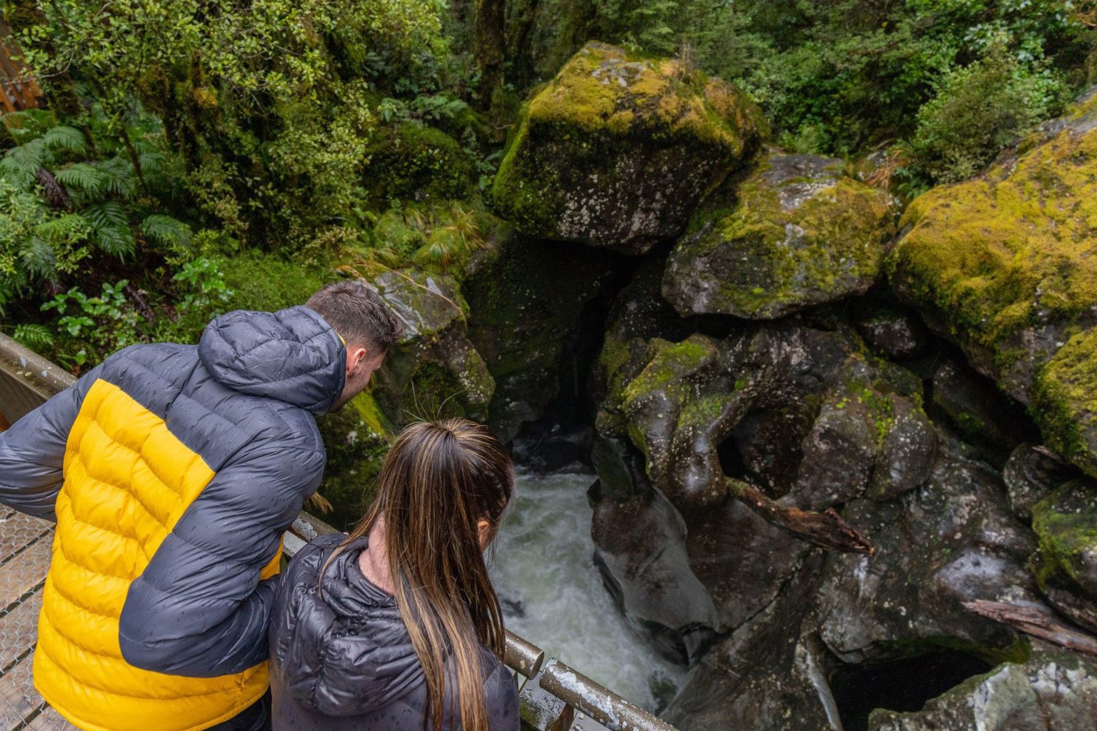 queenstown to milford sound tours nz