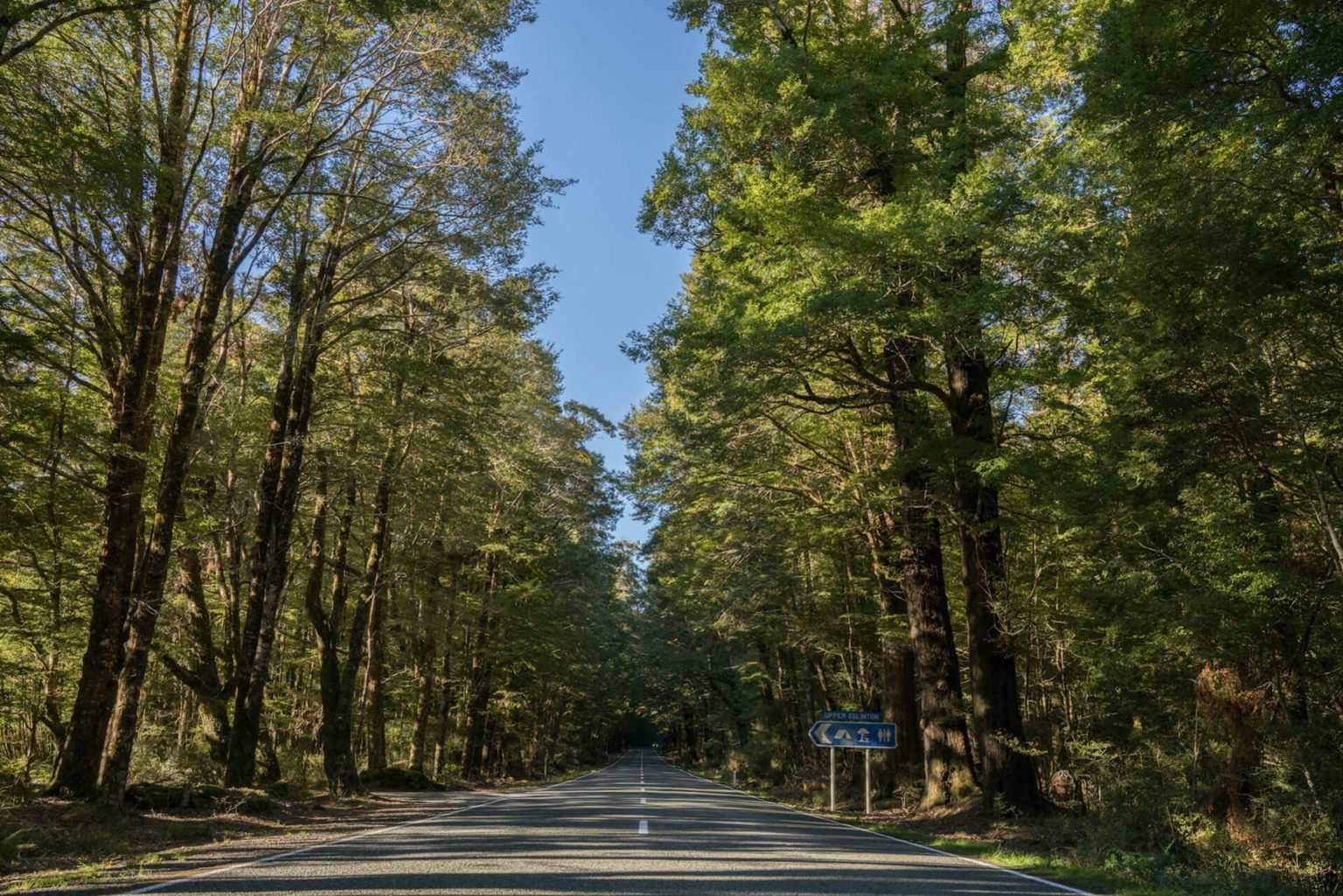 roads of queenstown to milford