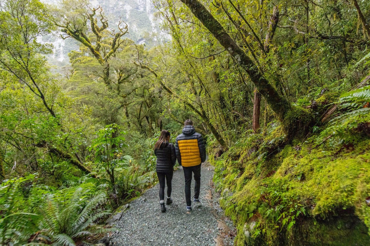 exploring Milford Sound