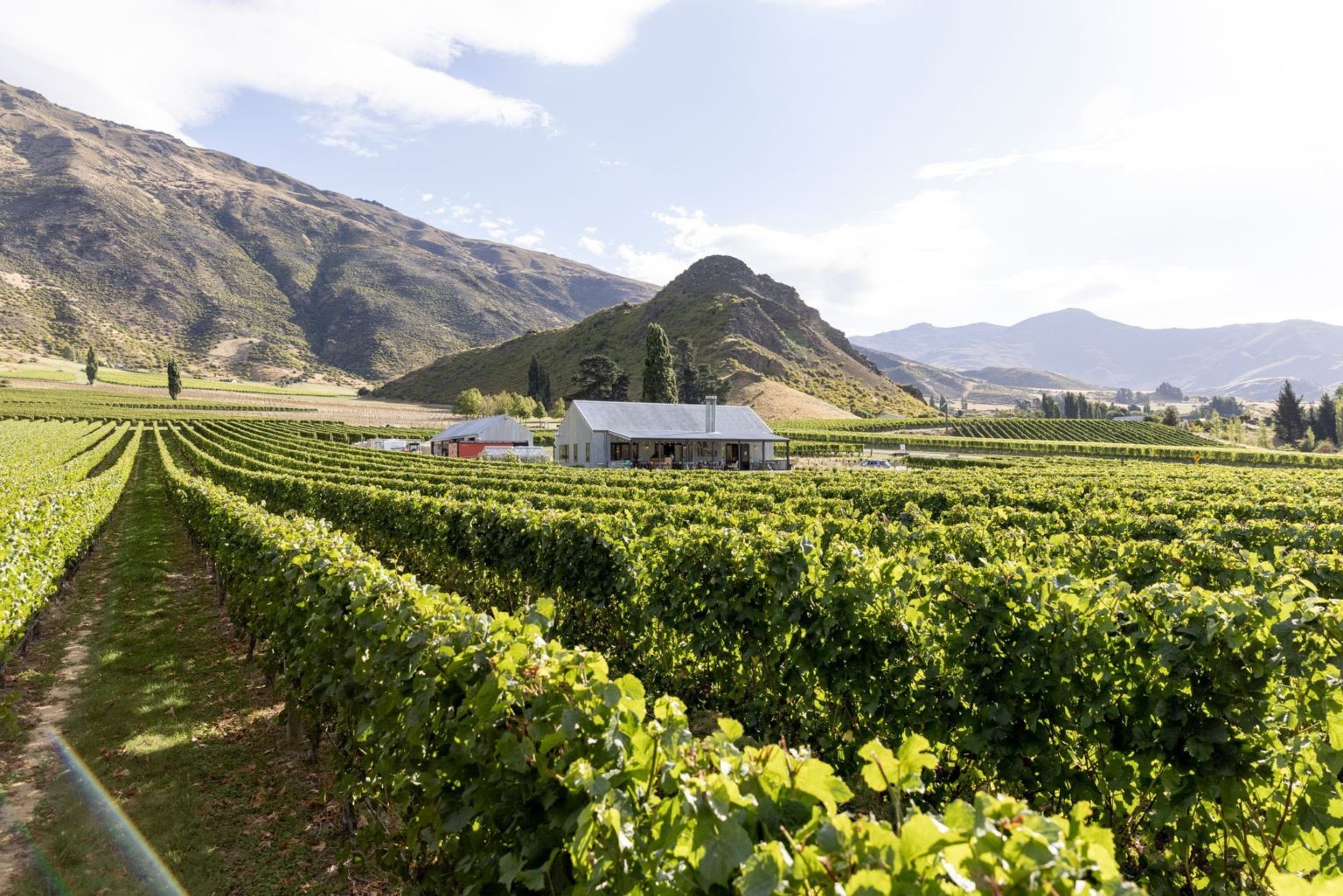 Travel wine yards in NZ