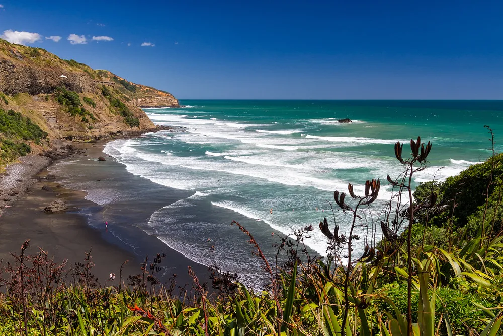 Muriwai Beach NZ