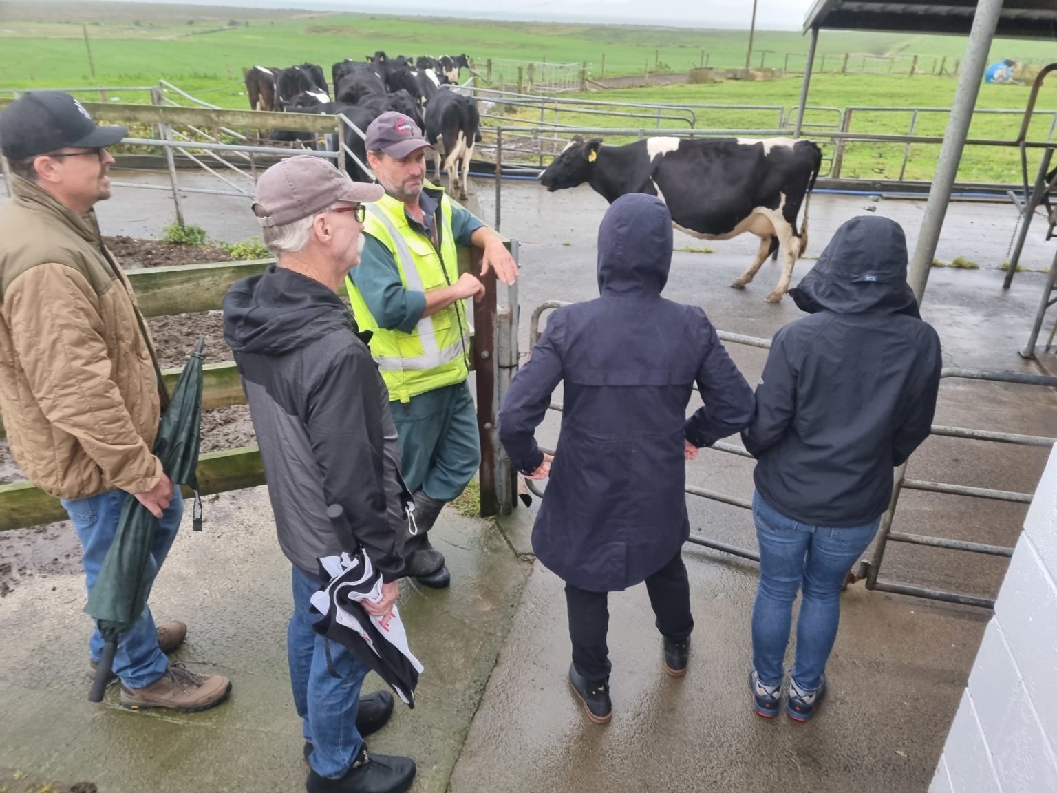 dairy farm tour auckland NZ