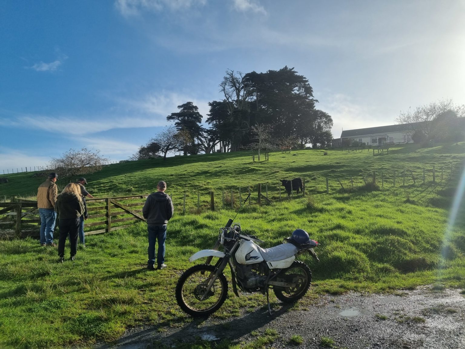 best dairy farm tour auckland