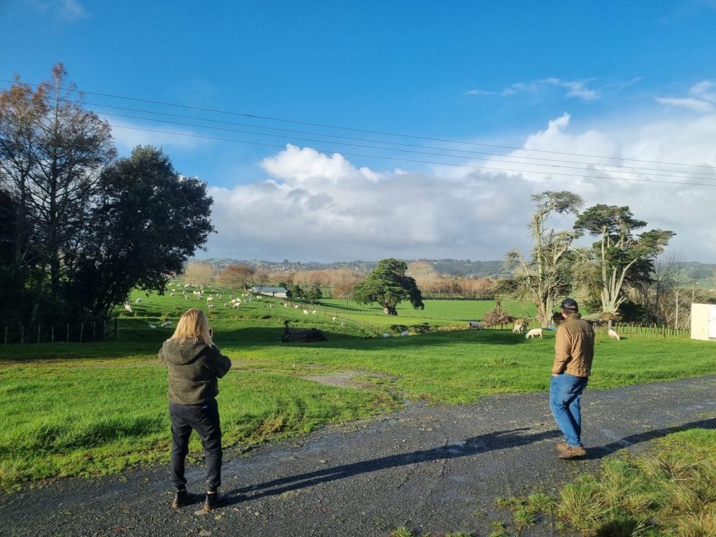 Sheep Farm Tours NZ