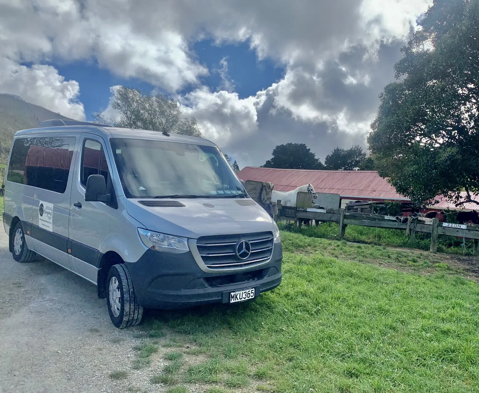 wedding transport auckland service