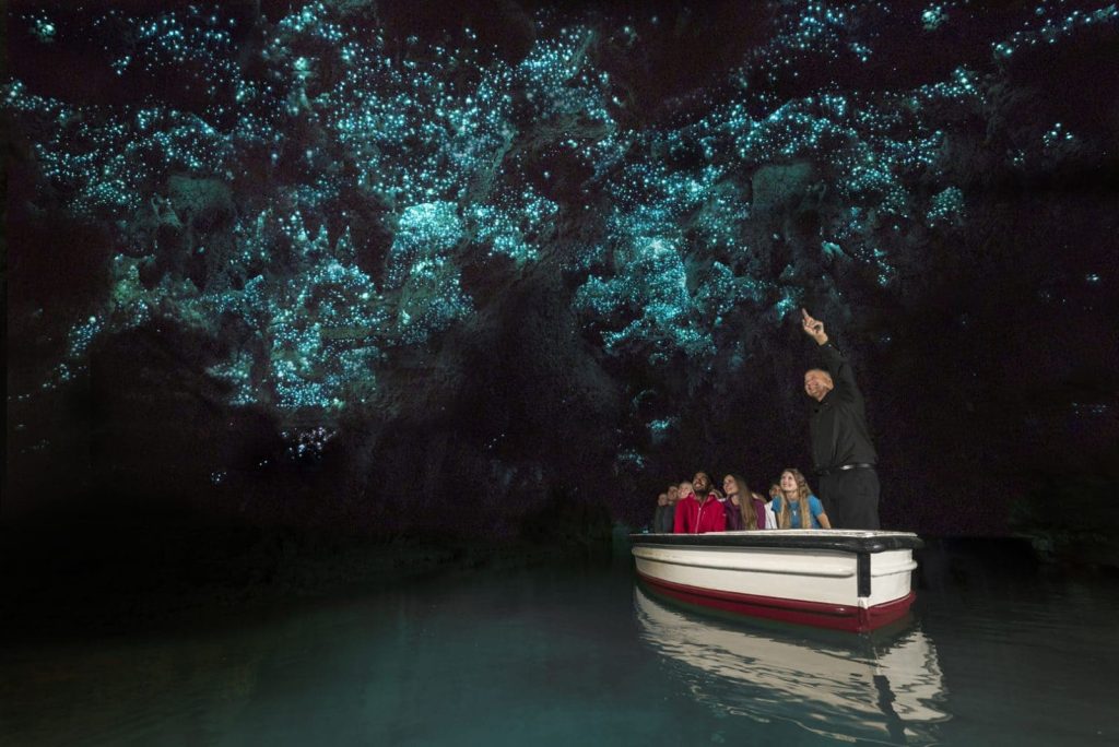 Glowworm Caves Boat Tour