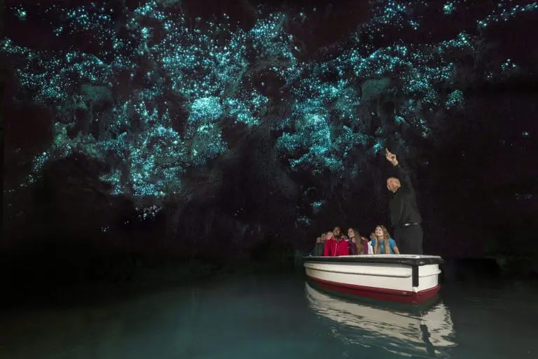 Glowworm Caves Boat Tour