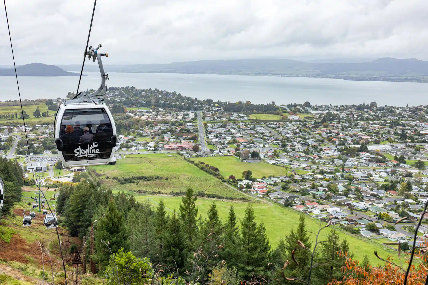 rotorua skyline