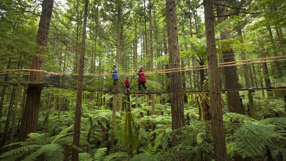 Rotorua wild life tour