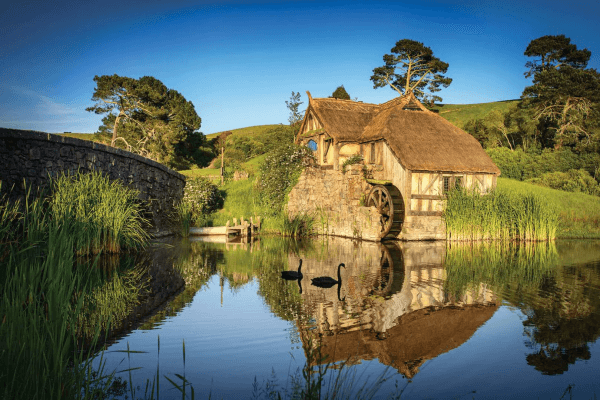 hobbiton movie set guided tour
