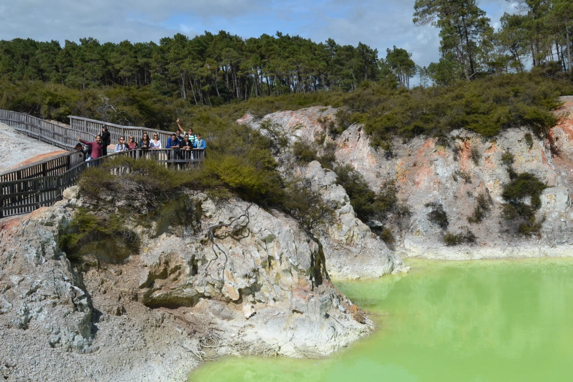 Geothermal Park in Rotorua