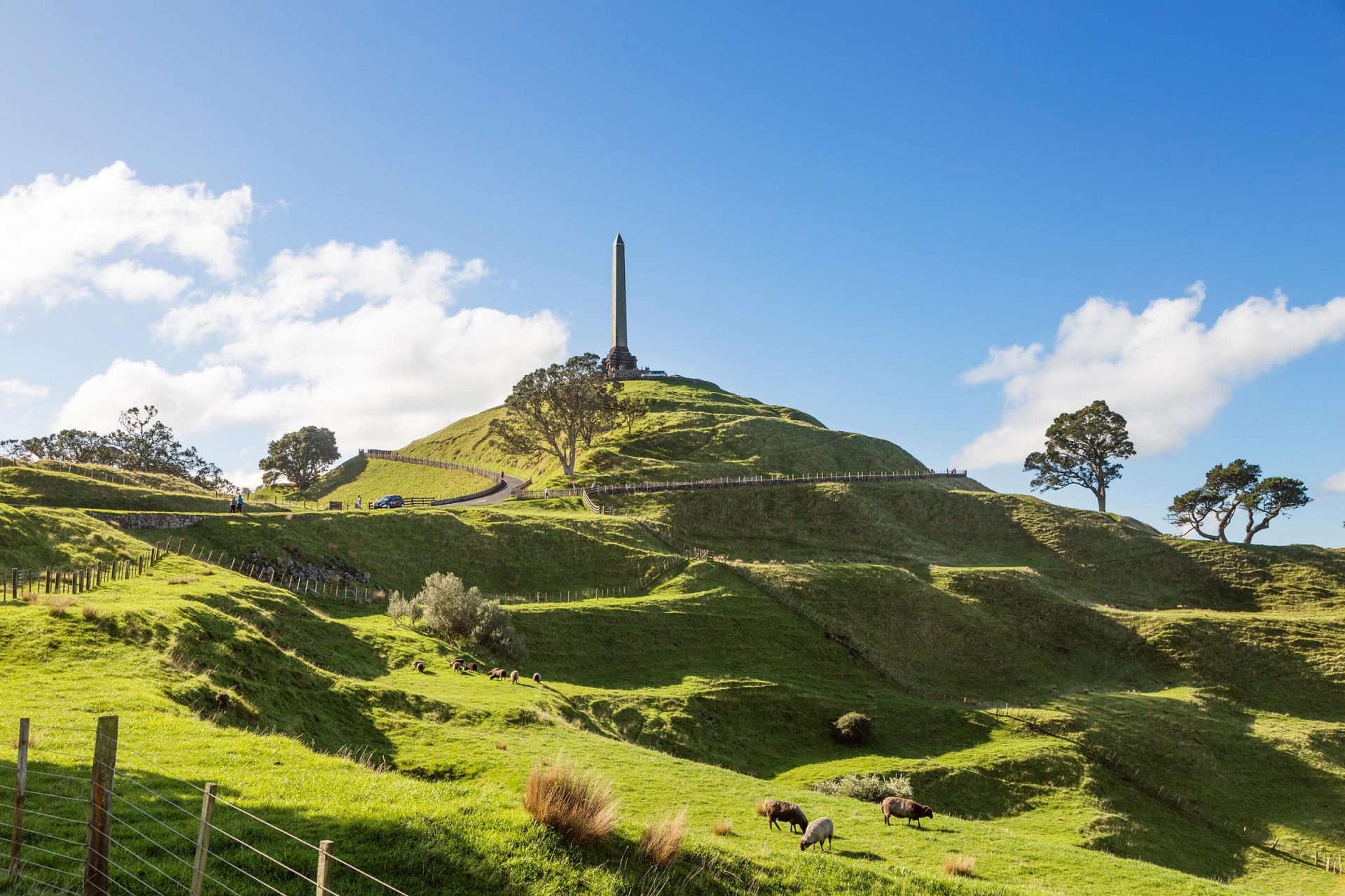 Best family activities in Auckland